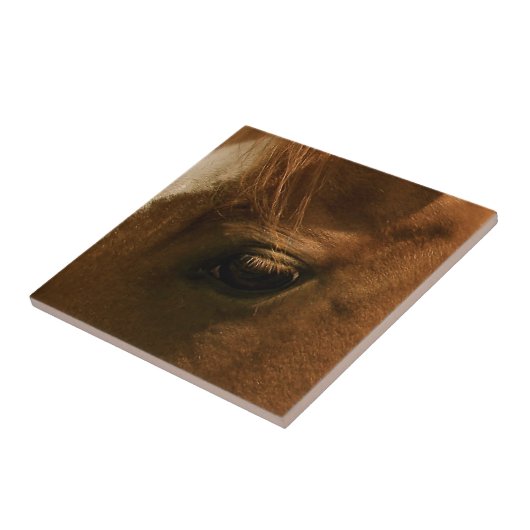 Auge des Pferds Fliese (Seite)