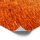 Auge des Roten Dun Mare Pferde Equine Foto Poster (Ecke)