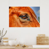Auge des Roten Dun Mare Pferde Equine Foto Poster (Küche)