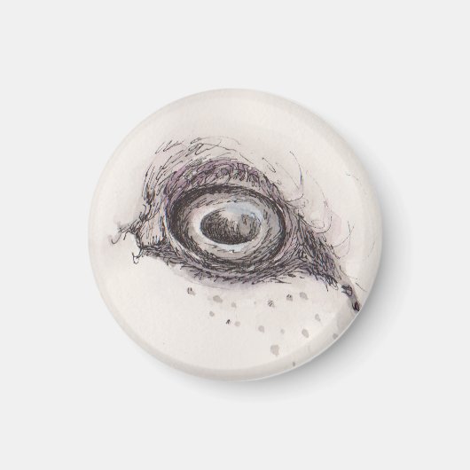 Auge des Schafs – Gaze Collection Magnet (Vorne)