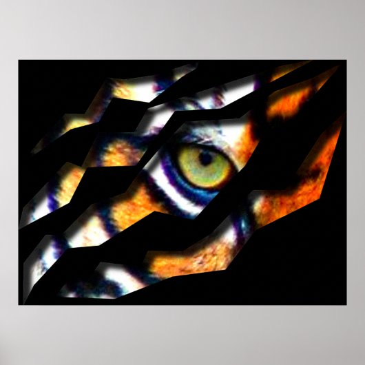Auge des Tigerreißs durch Poster (Vorne)