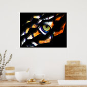 Auge des Tigerreißs durch Poster (Küche)