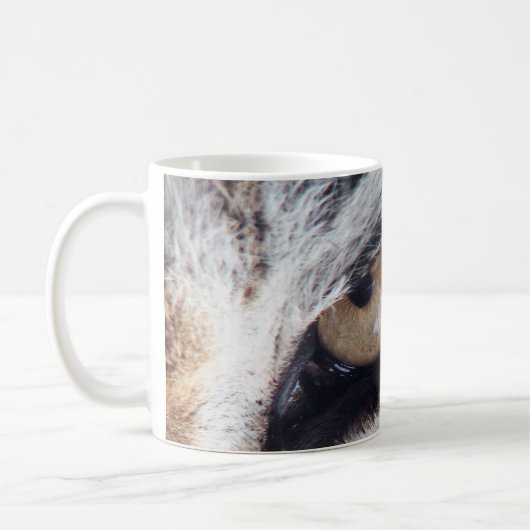 Auge des Tigers 1 Tasse Optionen (Links)