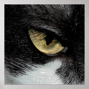 Auge des Tigers Poster