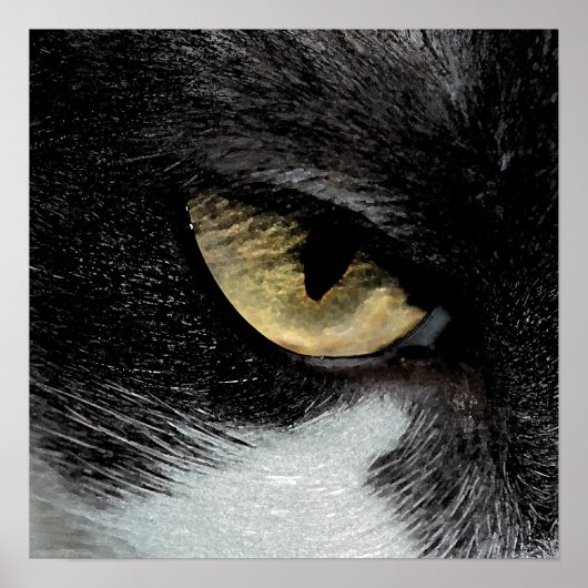 Auge des Tigers Poster (Vorne)