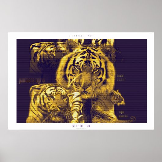 Auge des Tigers Poster (Vorne)