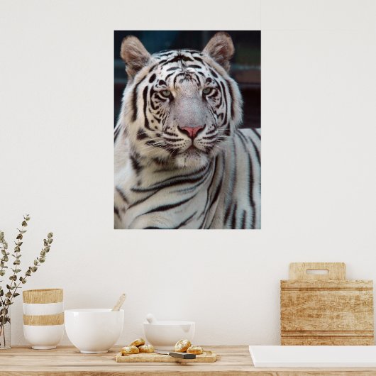 Auge des Tigers Poster (Küche)