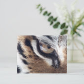 Auge des Tigers Postkarte (Stehend Vorderseite)