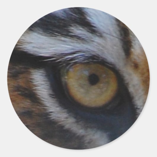 Auge des Tigers Runder Aufkleber (Vorderseite)
