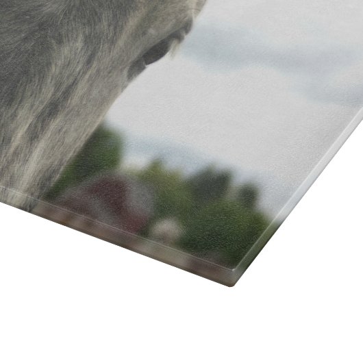 Auge eines Apfeltieres Schneidebrett (Ecke)