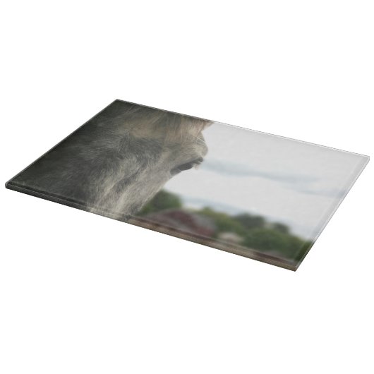 Auge eines Apfeltieres Schneidebrett (Ecke)