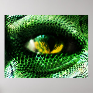 Auge eines ... ? poster