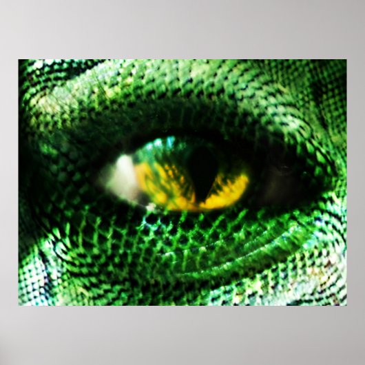 Auge eines ... ? poster (Vorne)