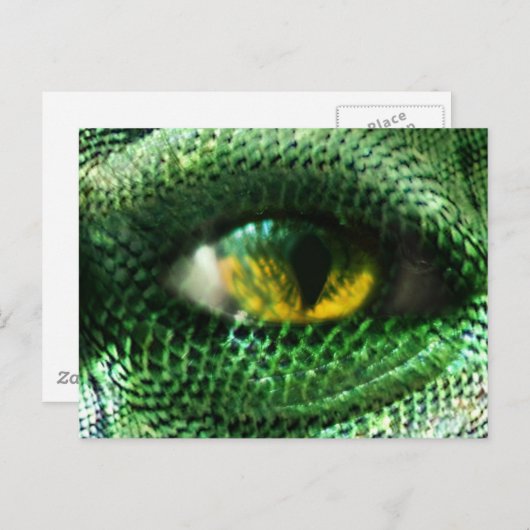 Auge eines... postkarte (Vorne/Hinten)