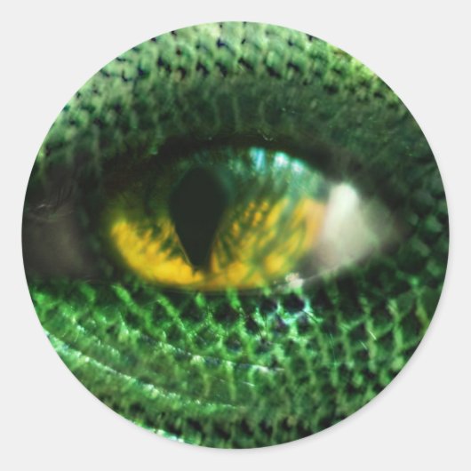 Auge eines... runder aufkleber (Vorderseite)