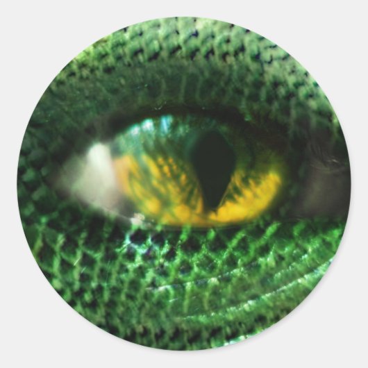 Auge eines... runder aufkleber (Vorderseite)