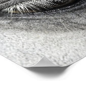 Auge, equine fine art nahe to photography, poster (Ecke)