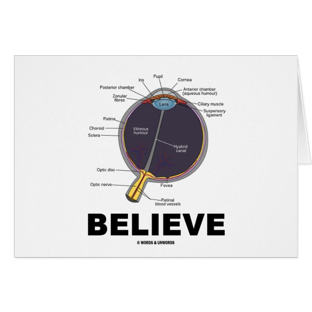 Auge glauben (anatomischer Spaß) (Vorderseite (Horizontal))