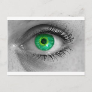 Auge mit grüner Iris betrachtet das Makro des View Postkarte