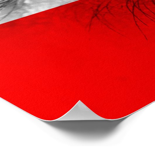 Auge Österreichs Poster (Ecke)