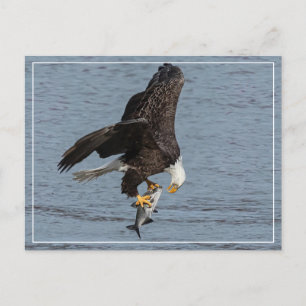 Auge Postkarte