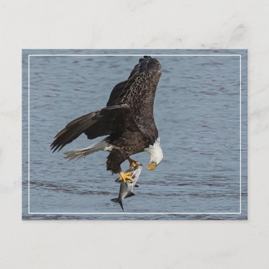 Auge Postkarte (Vorderseite)