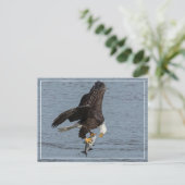 Auge Postkarte (Stehend Vorderseite)