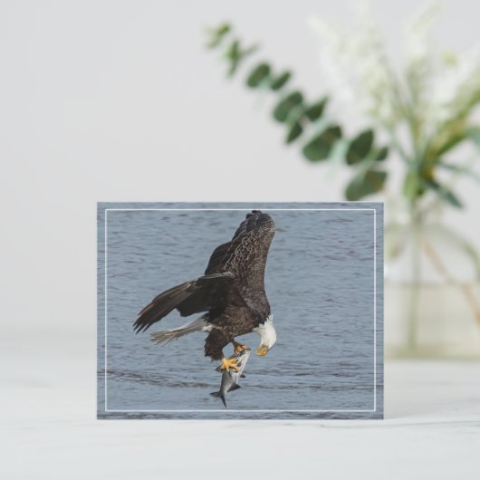 Auge Postkarte (Stehend Vorderseite)