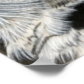 Auge (rechts) poster (Ecke)