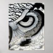 Auge (rechts) poster (Vorne)