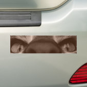 Auge sehen autoaufkleber (Auf Auto)