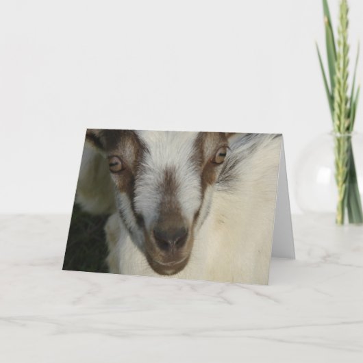 Auge sieht dich karte (Vorderseite)