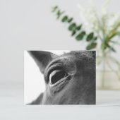 Auge von Pony 1 Postkarte (Stehend Vorderseite)