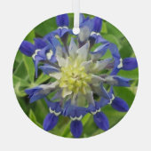 Auge von Texas Bluebonnet Ornament (Rückseite)