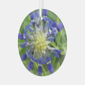 Auge von Texas Bluebonnet Ornament (Vorderseite links)