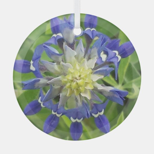 Auge von Texas Bluebonnet Ornament Aus Glas (Vorderseite)