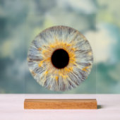 Augen-Acrylschild Acrylschild (Neutral)