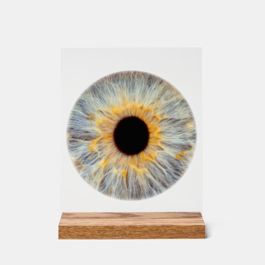 Augen-Acrylschild Acrylschild (Vorderseite)