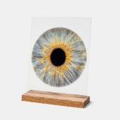 Augen-Acrylschild Acrylschild (Winkel)