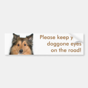 Augen auf dem Straßen-Hund Autoaufkleber