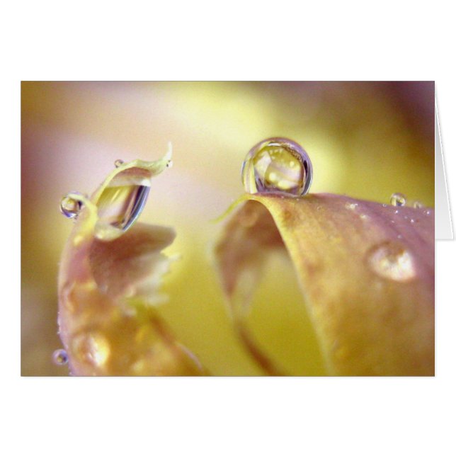 Augen auf der Iriskarte (Vorderseite (Horizontal))