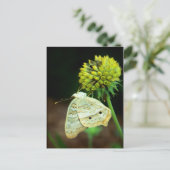 Augen auf Sie Postkarte (Stehend Vorderseite)