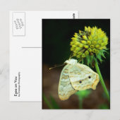 Augen auf Sie Postkarte (Vorne/Hinten)
