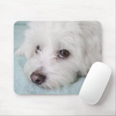 Augen Baumwollde Tulear Puppy Mousepad (Mit Mouse)