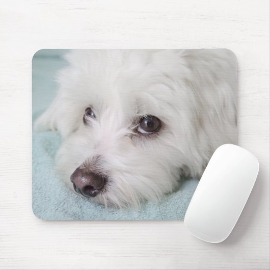 Augen Baumwollde Tulear Puppy Mousepad (Mit Mouse)