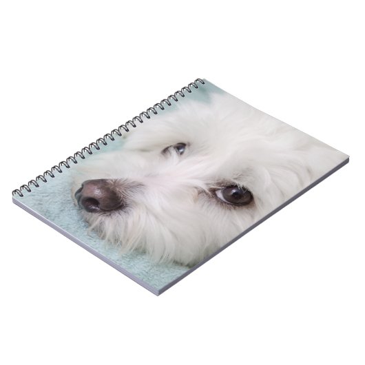 Augen Baumwollde Tulear Puppy Notizblock (Linke Seite)