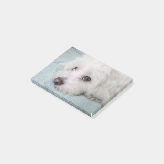 Augen Baumwollde Tulear Puppy Post-it Klebezettel (angewinkelt)