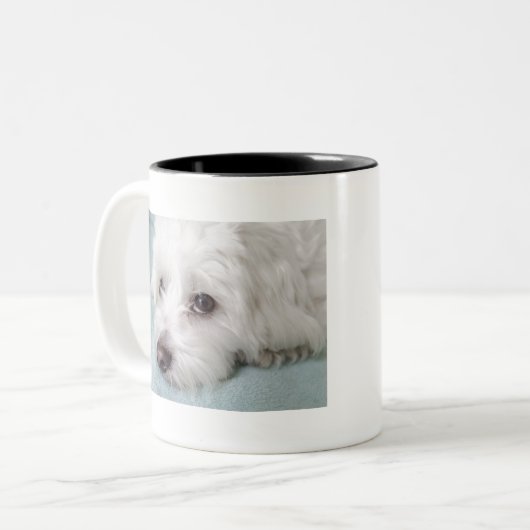 Augen Baumwollde Tulear Puppy Zweifarbige Tasse (Vorderseite Links)