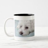 Augen Baumwollde Tulear Puppy Zweifarbige Tasse (Links)