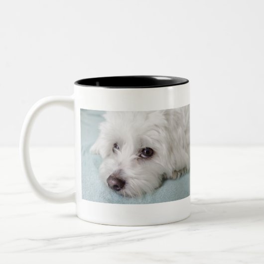 Augen Baumwollde Tulear Puppy Zweifarbige Tasse (Links)